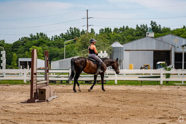 Horse riders can train at Palatine Stables, near northern Inverness.