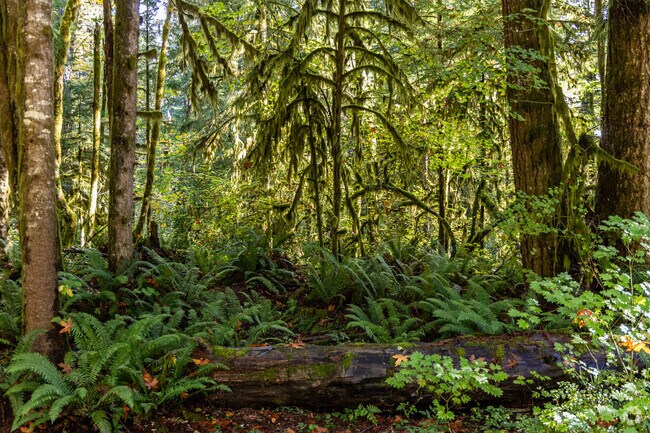 Yale is surrounded by heavily wooded areas.