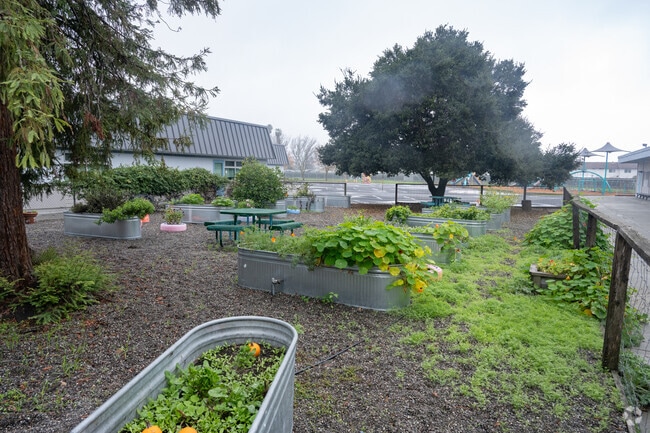 Educational opportunities abound at Miwok Valley Elementary Charter School.