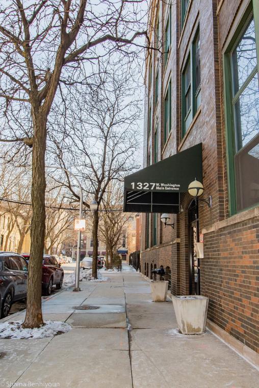 1327 W Washington Blvd Unit 2A, Chicago, IL 60607
