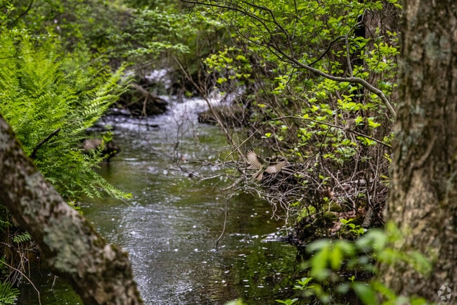 Amazing wildlife viewing opportunities are around every corner in Douglas.