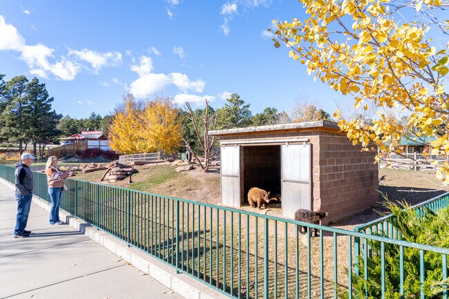 Tourist and residents alike gather at Black Hills Forest to observe wildlife.