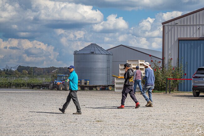 Working farms in Groveville often provide seasonal labor opportunities.