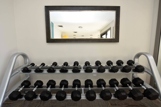 Palmer, Knoxville, TN 37912 - photo 3