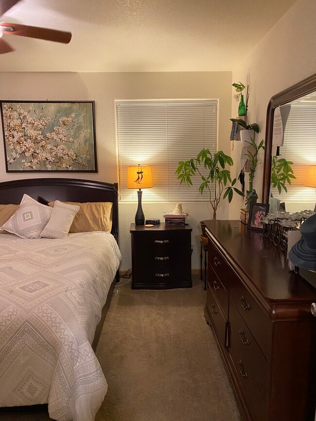 3761 Mt Flora St, Wellington, CO 80549 - photo 4