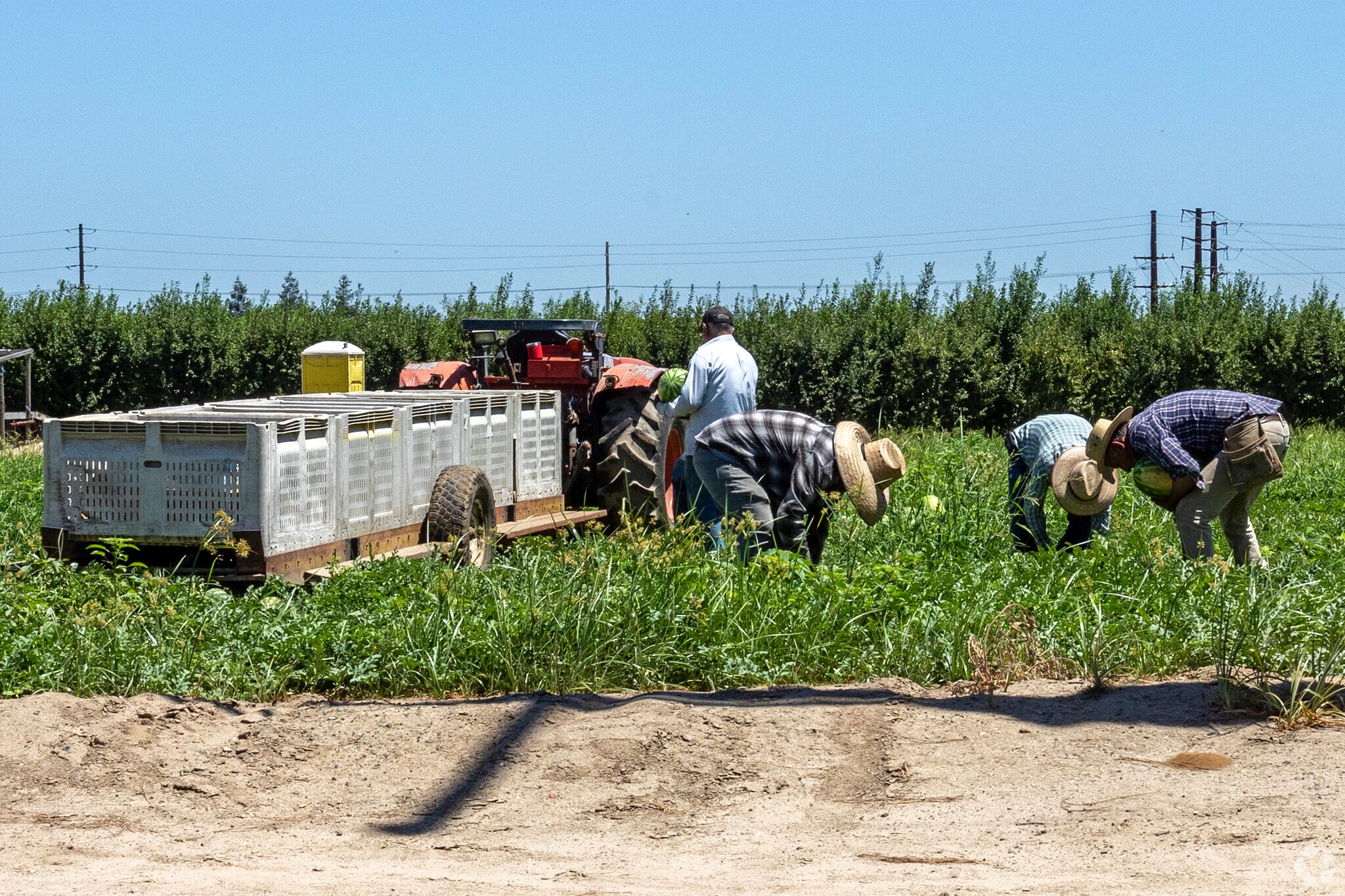 Farming is a major economic activity in the Hughson area.