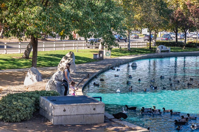 Relax with the family at the Temecula Duck Pond & Veterans Memorial, near Rancho Highlands.