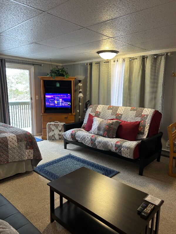 5712 Shanty Creek Rd unit 687, Bellaire, MI 49615 - photo 6