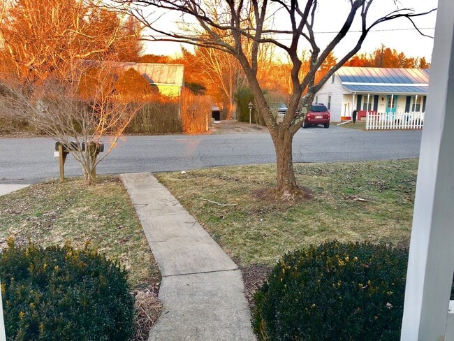 210 Alum Springs Rd, Lexington, VA 24450 - photo 3