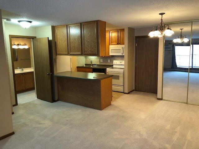 Tower Place Condominiums unit 310, Prior Lake, MN 55372 - photo 7