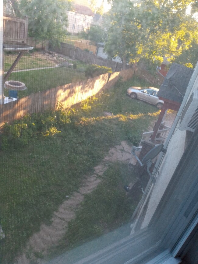 backyard view from living room