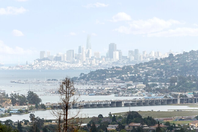 The views from high atop the many trails of Blithedale Canyon.