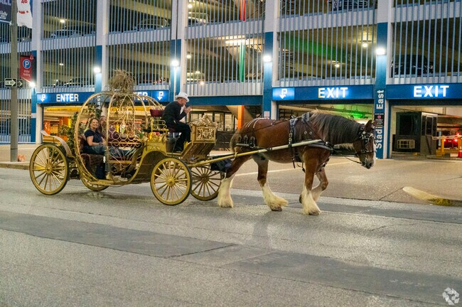 Some people enjoy a horse-driven carriage in downtown St. Louis.