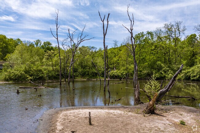 Waterfall Park provides access to the Turkey Creek Streamway Trail.