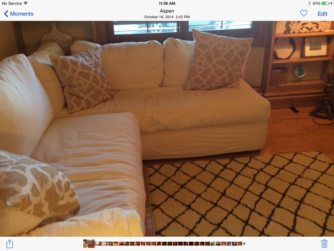 119 E Cooper Ave unit 4, Aspen, CO 81611 - photo 5