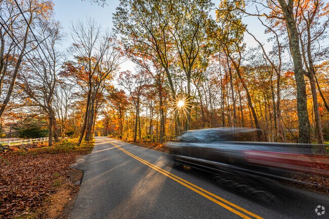Dense forest give the neighborhood a beautiful canopy in the autumn season.