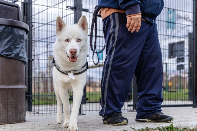 Lorraine Terrace pet owners can bring their dogs to the park at Larsen Nature Preserve.