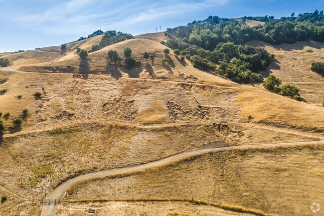 The hilly hikes in Lafayette's Briones Park offer great views and a serious workout.