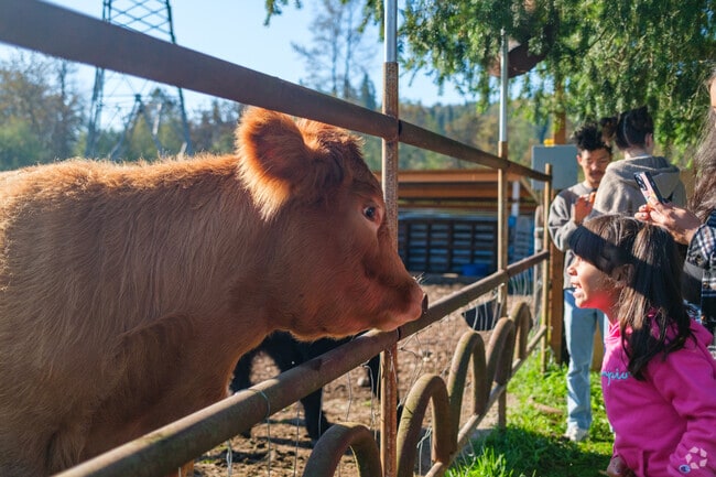 Have fun at the farm at the annual Fall Y'all Farmers Market at Infinity Farm near Wilderness Rim.