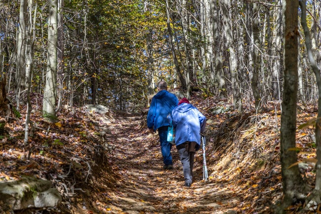 Franklin locals enjoy hiking at nearby Ricketts Glen State Park.