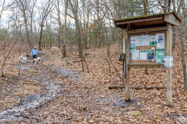 Whipple Hill Conservation area is a great place to hike with your dogs in Shakerhill.
