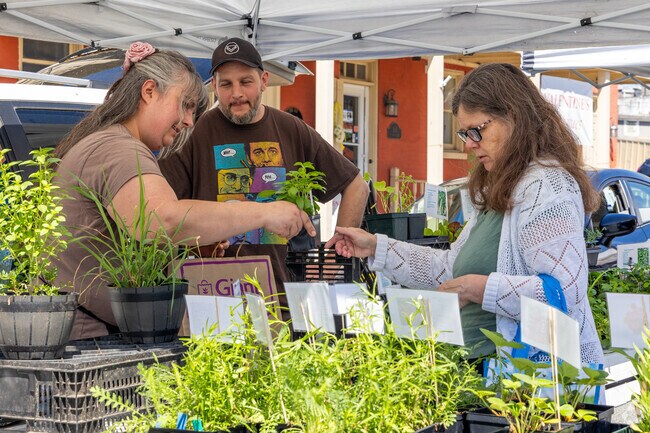 Residents can shop for plants for their home garden at the Havre de Grace Farmer's Market.