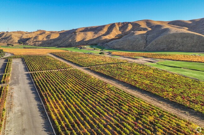 Vineyard views and friendly streets make Summerset a gem in Livermore's wine country.