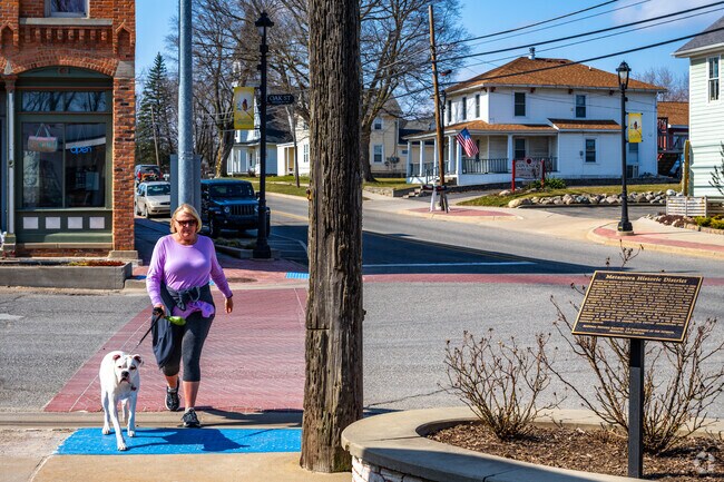 Metamora is a great place to walk your dog.