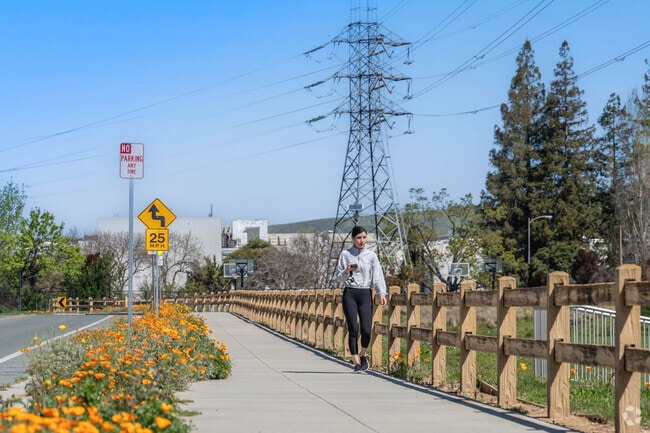 A lady walks along a California Poppy lined sidewalk at Raleigh Linear Park in Silver Leaf.