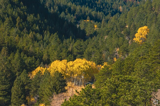 Glendale in the fall has sweeping views of pines with colorful mixtures of yellows and reds.
