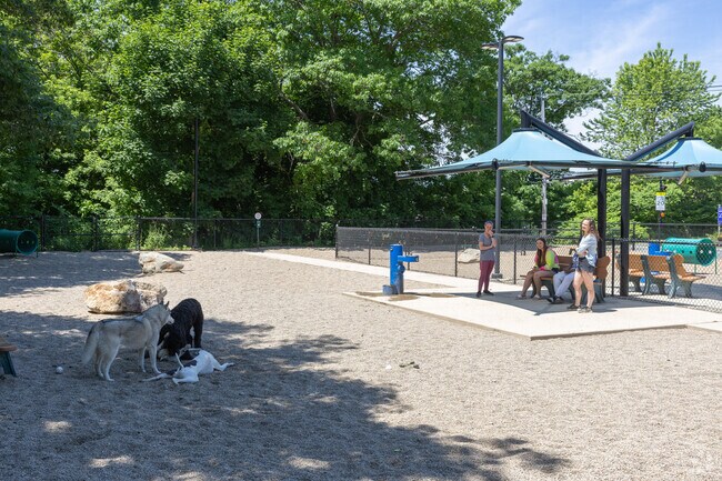 Emerson Park in Peabody Town Center a large dog park to bring your pups for play time.