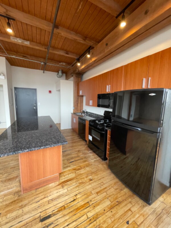 2100 S Marshall Blvd unit 5011, Chicago, IL 60623 - photo 3