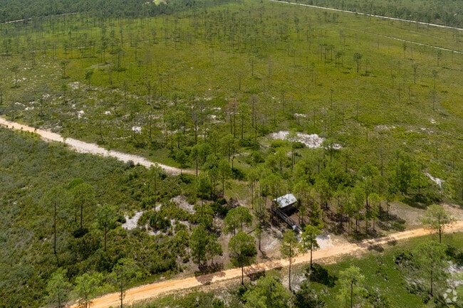 From the air over West Sebring you get a perfect view of the Highlands Hammock State Park.