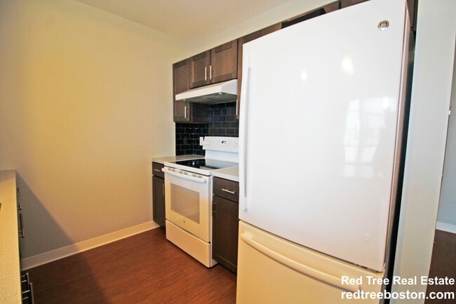 9 Williams St unit 410, Boston, MA 02119 - photo 3