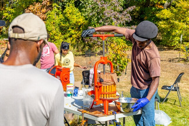 Watch fresh apple juice get pressed at the Harvest Fest with a Touch of Honey.