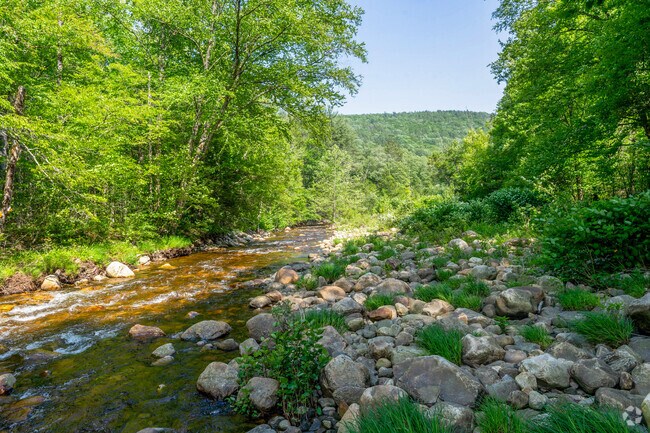 Middlefield State Forest features streams ideal for fishing amid its peaceful natural setting.
