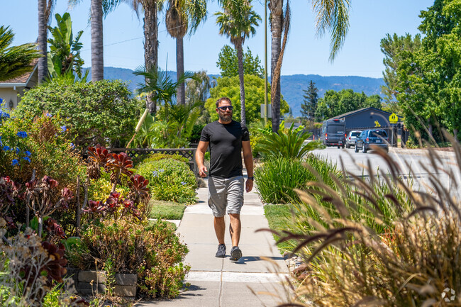 Lush front yards and palm-lined walks in Cahalan create a vibrant path to nearby schools.