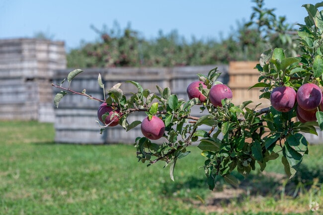 Marlborough is home to many farms and some excellent wineries.