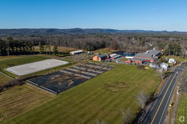 Students at Ethel Walker School can bring their horse to school with them.