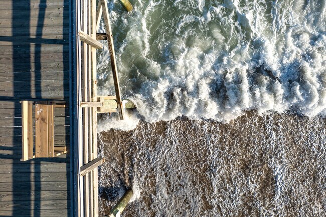 Pleasure Island Sea Turtle Project walk up and down the beach looking for nesting turtles.