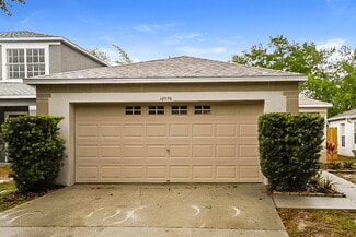 18036 Birdwater Dr, Tampa, FL 33647