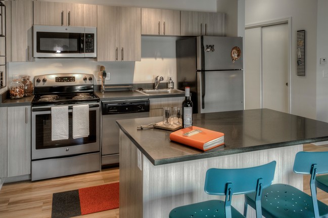 Studio - Kitchen in Gray