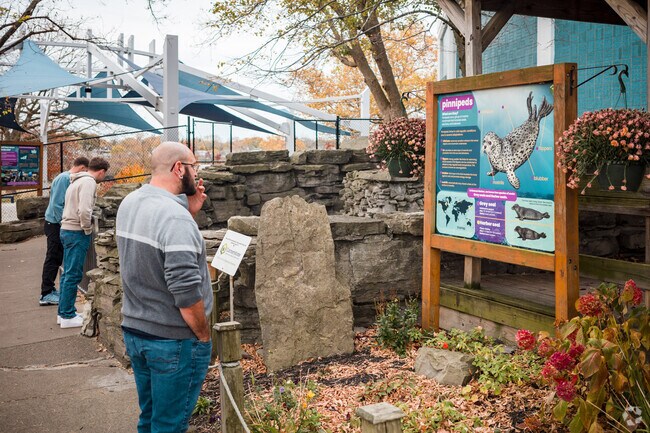The Aquarium near LaSalle is a great place for a family adventure.