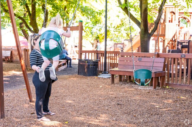 A family enjoys the swings at City Park in Winters.