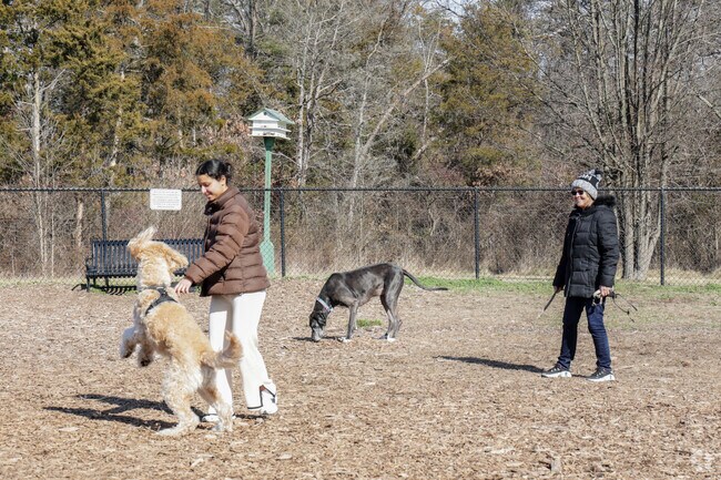 Kirkpatrick Farms' furry friends will love to play at South Riding Dog Park.