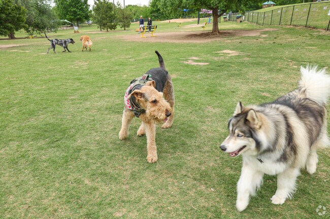 Dogs love meeting new friends at Biscuit Acres Dog Park in Southridge Estates.