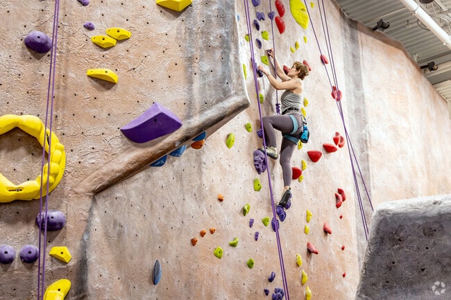 Climb high at Island Rock in Plainview.