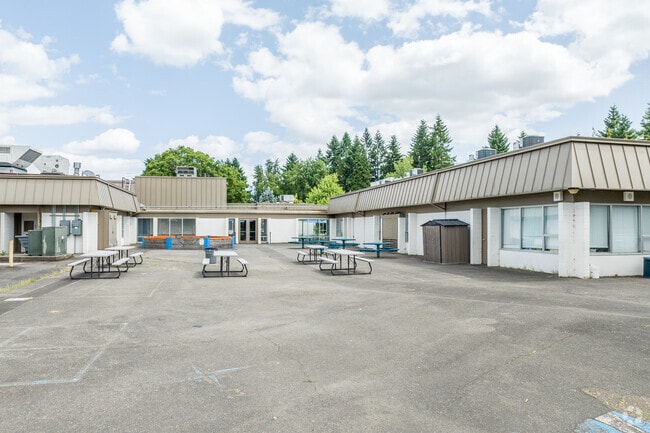 The Back of  at Stafford Primary School.