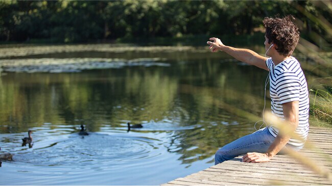 N Pic Adults Man Outdoors Park Pond Feeding Ducks