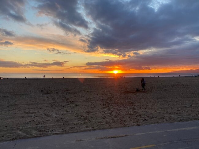 20 29th Ave unit 301, Los Angeles, CA 90291 - photo 2